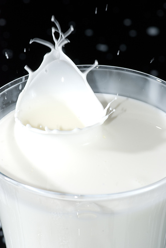 Le esportazioni della polvere di latte scremato dell’India sono quasi raddoppiate nel 2013