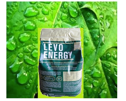 Levo-Energy di L.E.A.