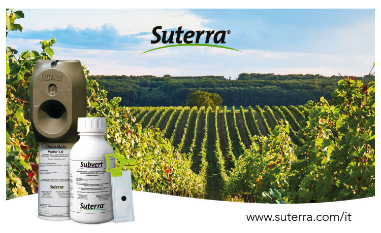 Suterra® propone una vasta gamma di soluzioni per la difesa integrata di numerose colture