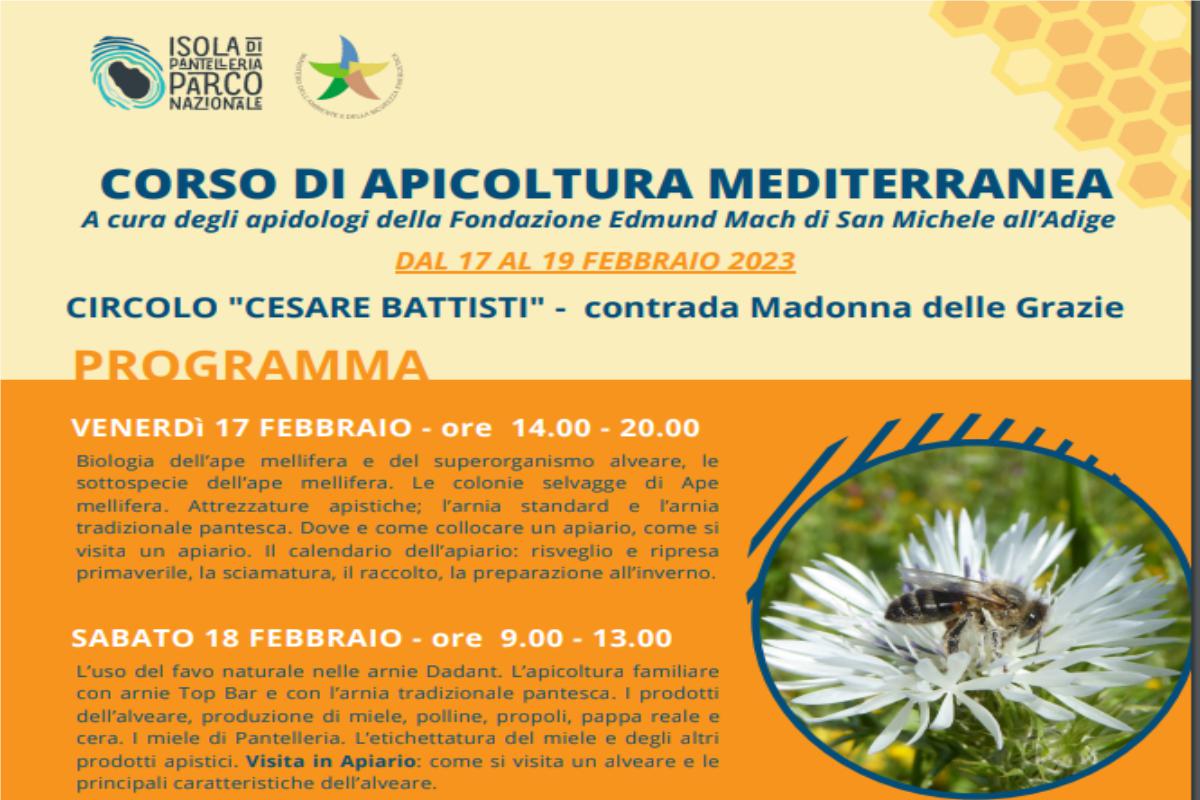 Corso di apicoltura mediterranea dal 17 al 19 febbraio 2023