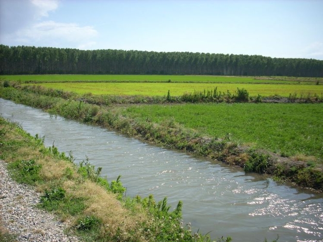 In Lomellina anche se è presente una notevole quantità d'acqua nei fiumi, si riscontra una grande criticità idrica