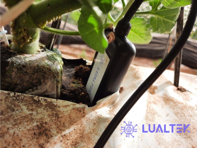 Controllo a distanza delle piante in serra con Lualtek