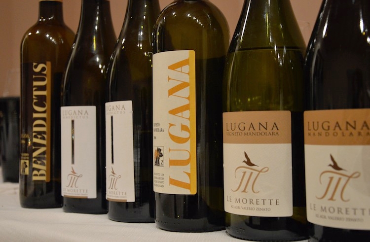 Zenato: 'Oggi il vino Lugana ha sviluppato un'identità sempre più definita e riconoscibile'