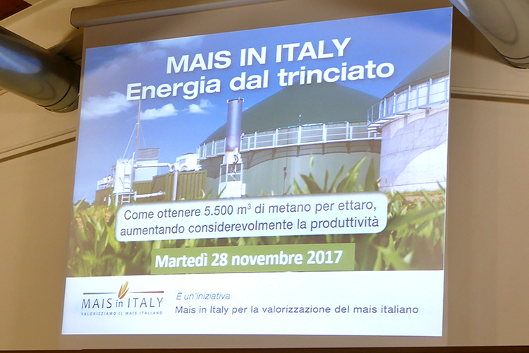 Mais in Italy: presentati i risultati del progetto
