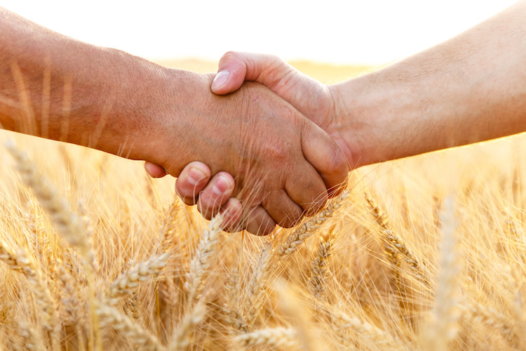 mani-grano-agricoltori-accordo-cooperazione-by-pointimages-adobe-stock.jpg