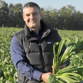 Paolo Manzan, presidente del Consorzio di tutela del radicchio rosso di Treviso e variegato di Castelfranco Igp