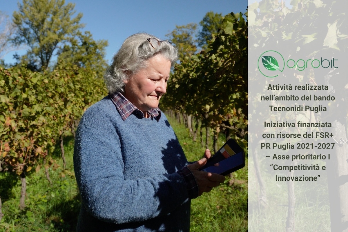 Il vantaggio nell'uso delle tecnologie in vigneto non è solo tecnico, ma anche gestionale