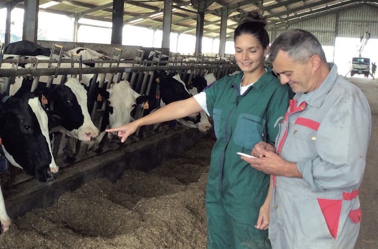 In primo piano Massimo Zambianchi, l'allevatore di Pavia che per migliorare il benessere delle proprie vacche ha scelto Smartbow
