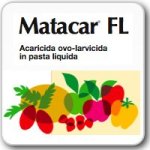 Matacar FL, 10 nuovi impieghi 
