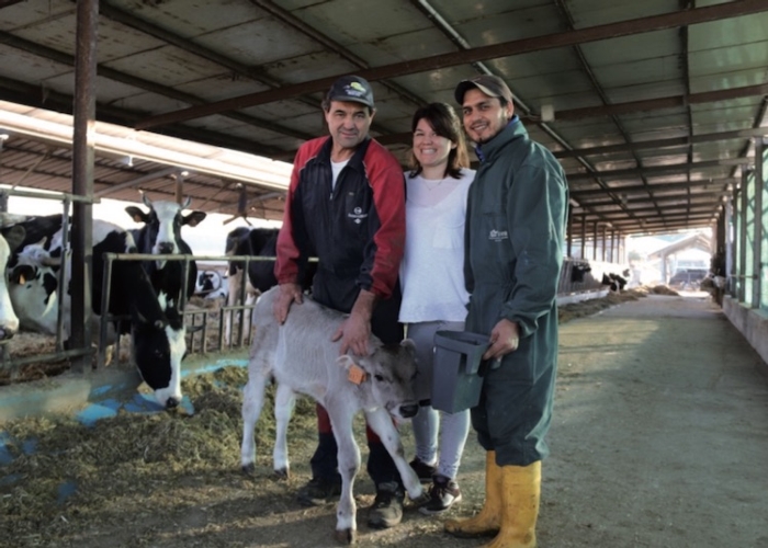 Maurizio Casumaro con la figlia Elisa e con un dipendente. Tra frisone, brune e reggiane, l'azienda munge una sessantina di vacche e 13-14 bufale