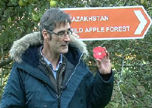 Richard Espley mostra una mela dalla polpa rossa