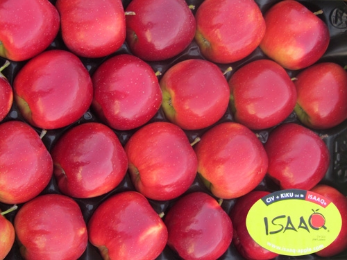 La nuova mela Isaaq di Kiku si inserisce nel trend verso prodotti alimentari formati da piccole porzioni