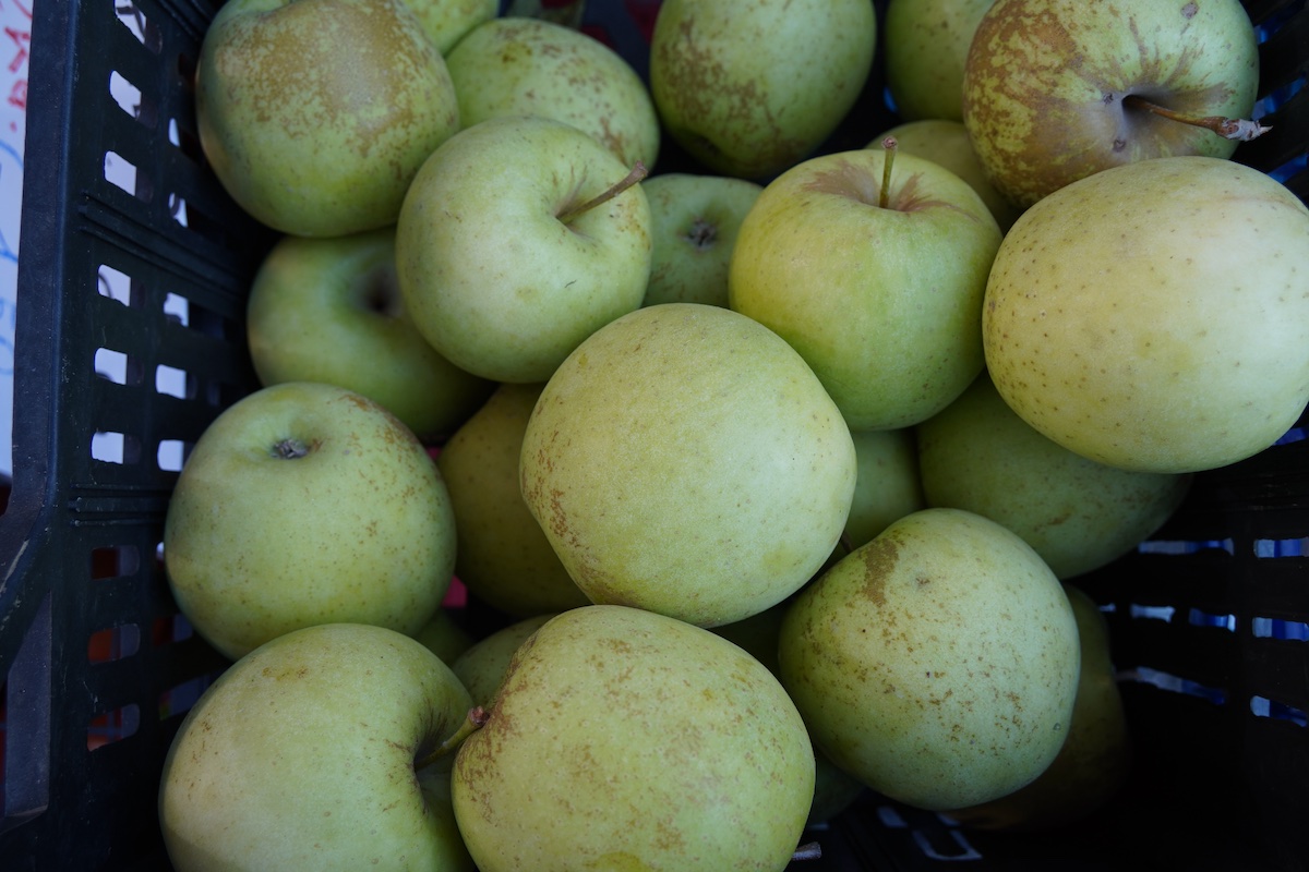 Le giacenze di mele per il mercato fresco si assestano con un incremento del 4,8% rispetto allo scorso anno (Foto di archivio)
