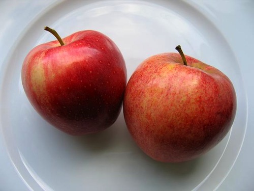 Nel 2011 la produzione di mele in Europa è prevista intorno a 10.195.000 tonnellate