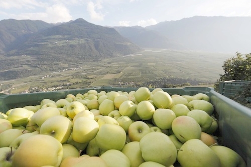 Alto Adige: Vip associa 1.750 coltivatori in un totale di 7 cooperative