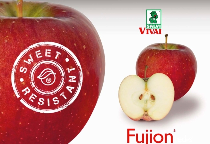 Cultivar Sweet Resistent della varietà Fujion