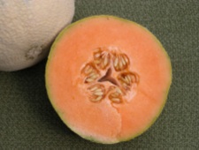Melone, incontro tecnico del Creso