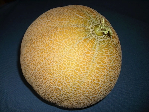 Il Melone Mantovano è Igp