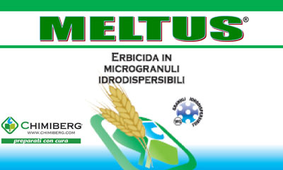 Diserbo post-emergenza dei cereali a paglia, i vantaggi di Meltus