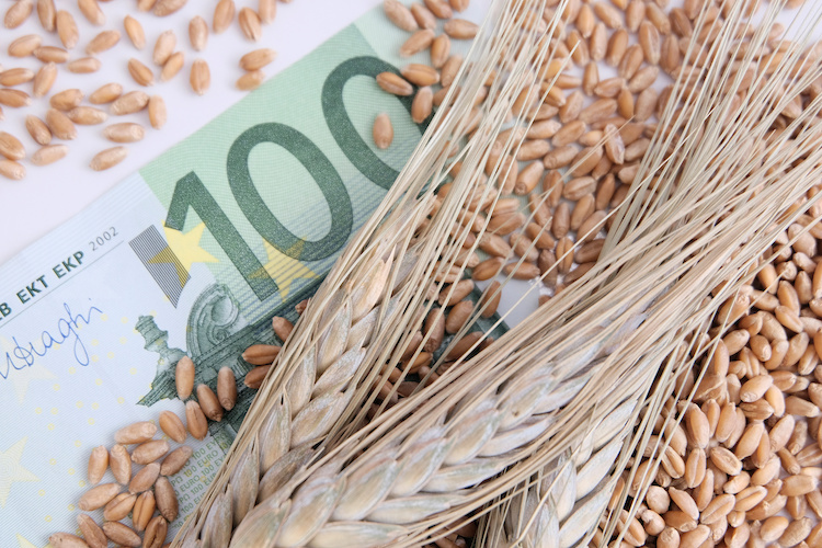 Nuovi aiuti alle aziende agricole nella morsa di inflazione e siccità (Foto di archivio)