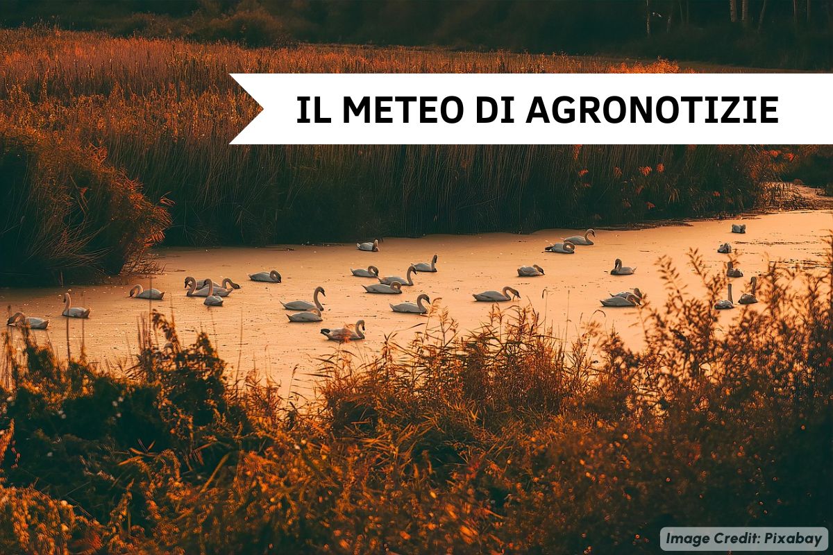 Un graduale miglioramento che proseguirà anche nel corso della prossima settimana con gli ultimi scampoli estivi