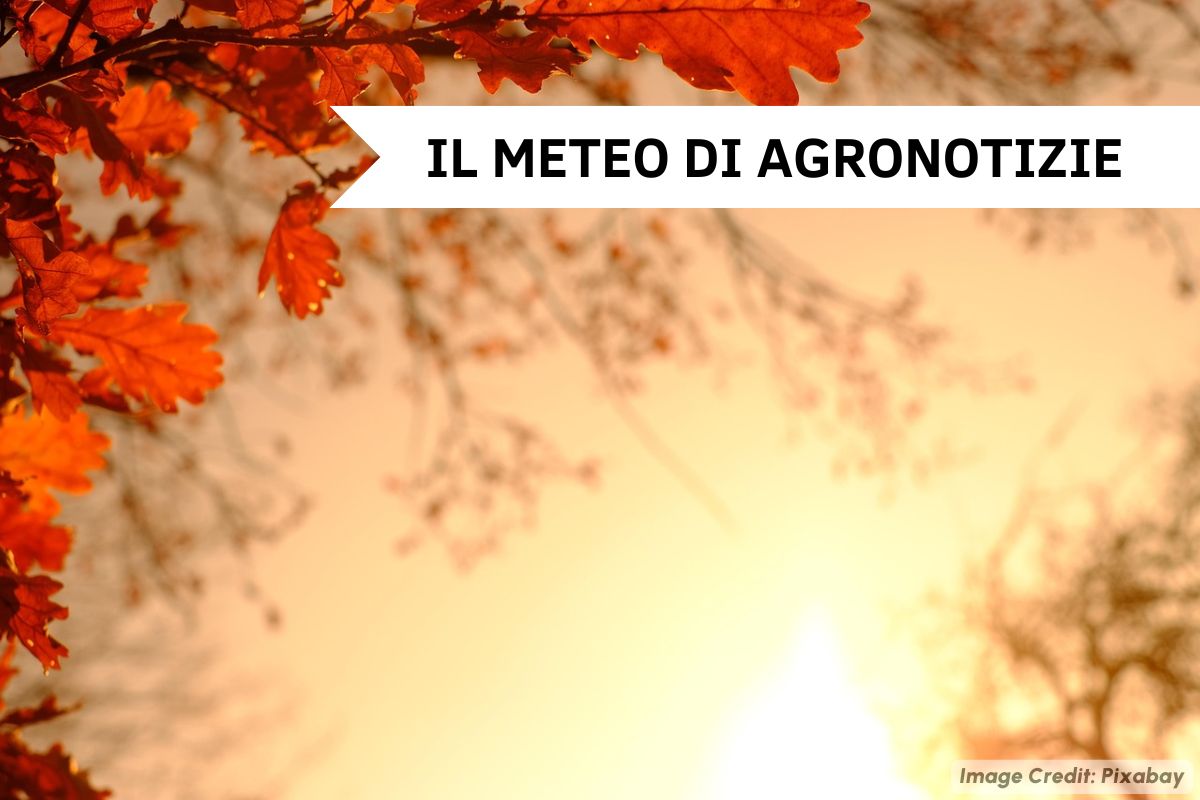 Autunno in gran forma che mostra il suo lato più instabile e freddo con piogge diffuse, vento forte e perfino nevicate