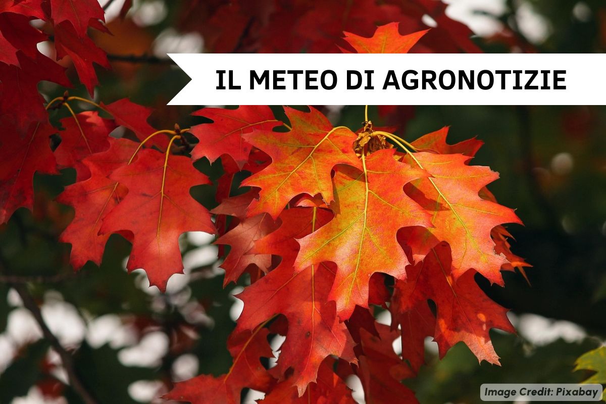 La penisola nel mirino delle perturbazioni e con escursioni termiche di rilievo