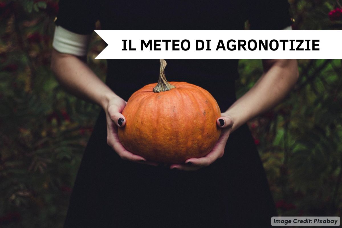 Nuove piogge in arrivo su molte regioni italiane e aumento delle temperature nel corso della prossima settimana