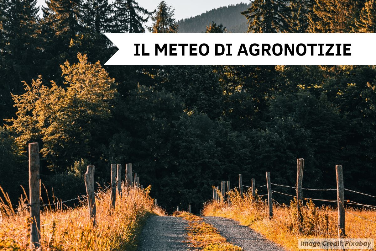 La situazione generale in Italia sarà un'alta pressione al Nord e maltempo al Sud