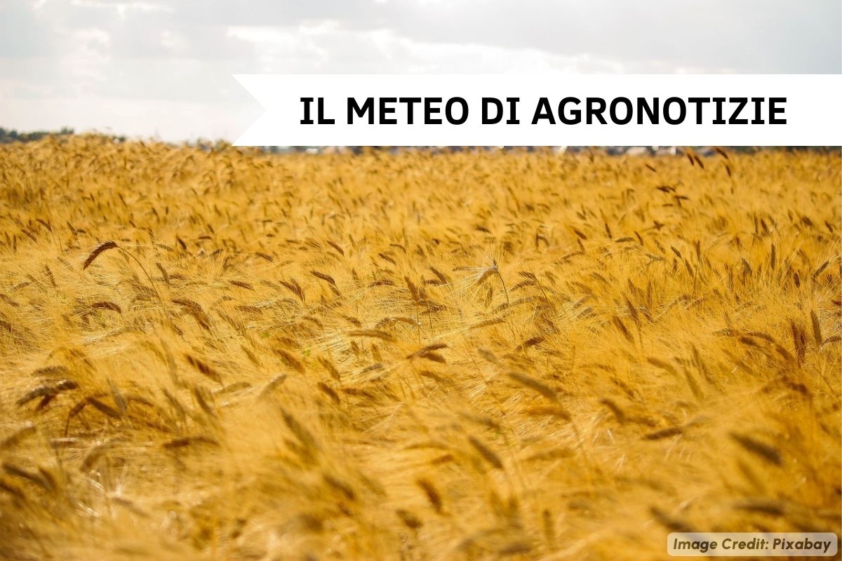 Prima decade di agosto bollente: il Sud nella morsa dell'anticiclone, forti temporali invece al Nord