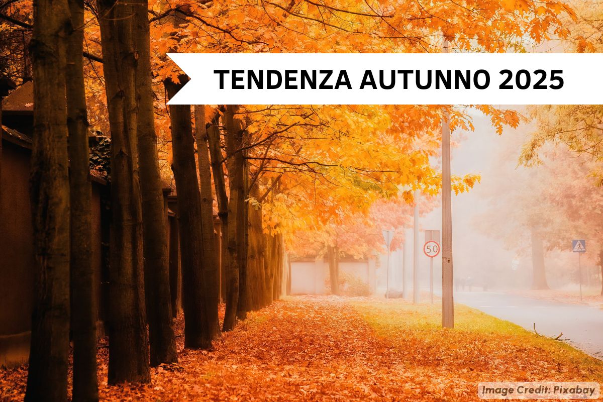 Un autunno e inizio inverno avaro di precipitazioni nella prime fasi, ma con un rientro della normalità verso l'inverno