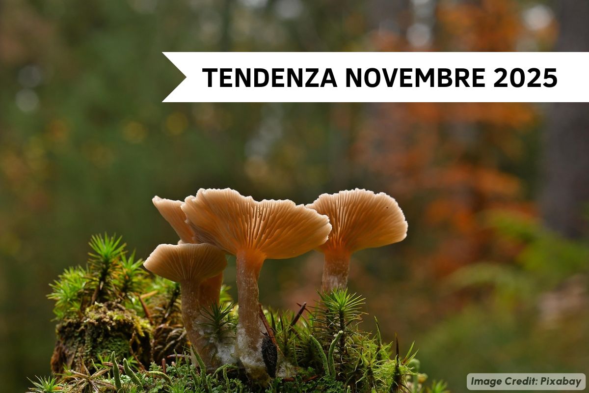 Inizio del mese quasi primaverile ma con un ritorno all'instabilità dovuto proprio alla combinazione di caldo e umidità