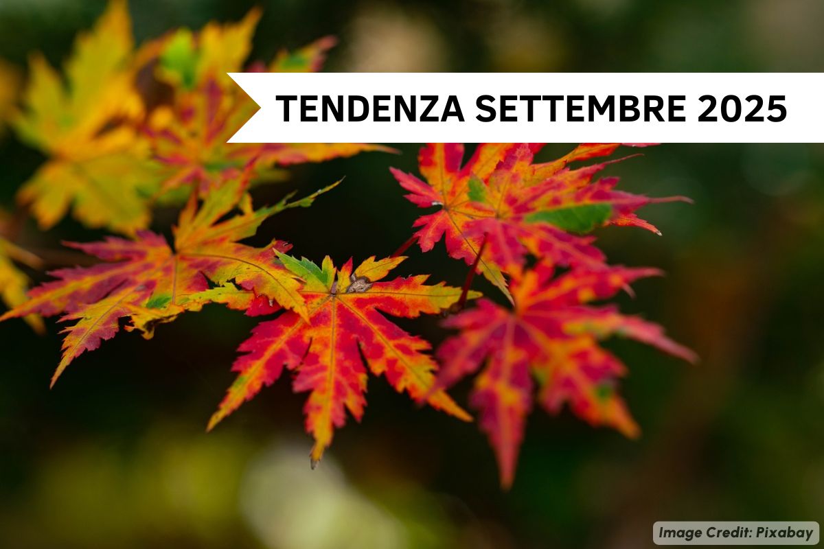 Primi giorni instabili, poi nuova rimonta anticiclonica. Un mese ricco di contrasti