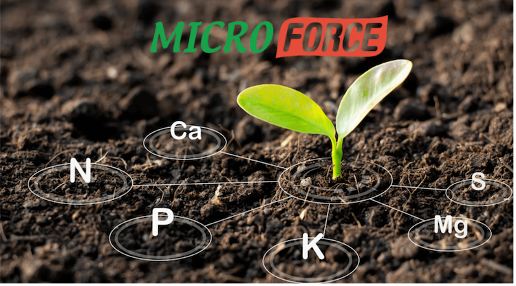Microforce è consentito in agricoltura biologica