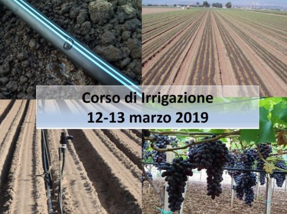 microirrigazione-corso-fritegotto-20190312.jpg