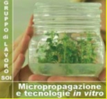 Micropropagazione e tecnologie in vitro