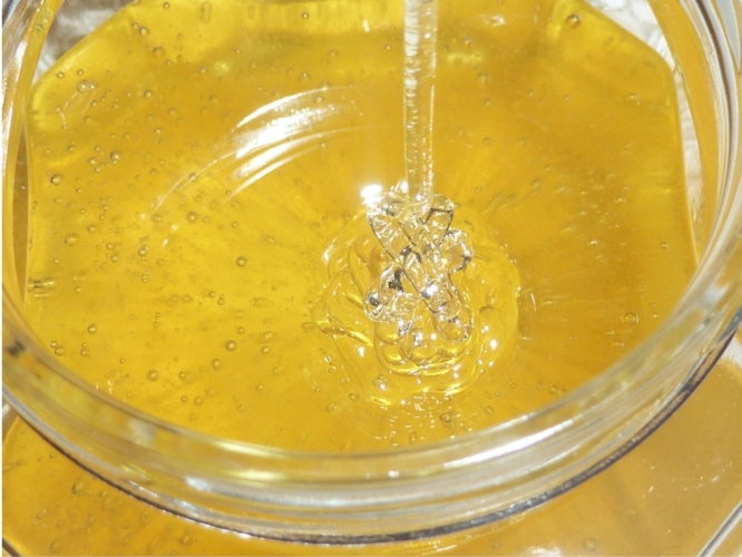miele-acacia-vasetto-produzione-by-matteo-giusti-agronotizie-jpg.jpg