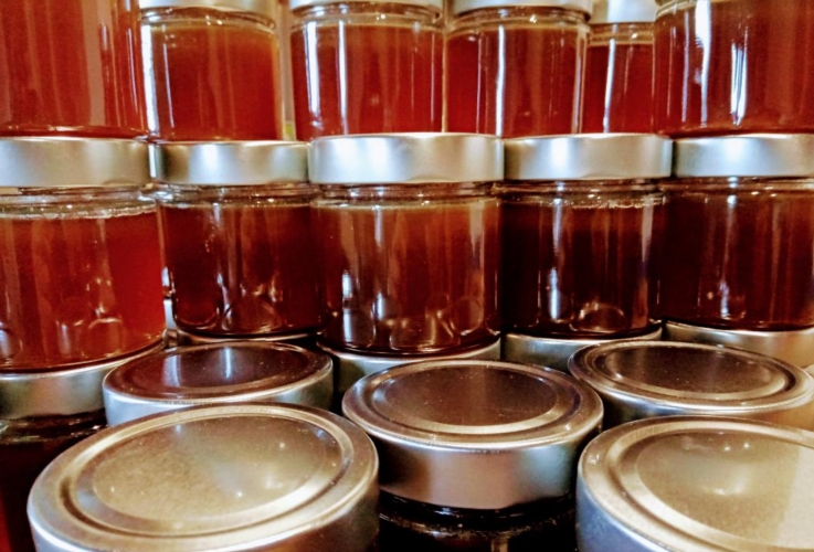 Miele e prodotti apistici, in Toscana il bando per le attrezzature da mieleria