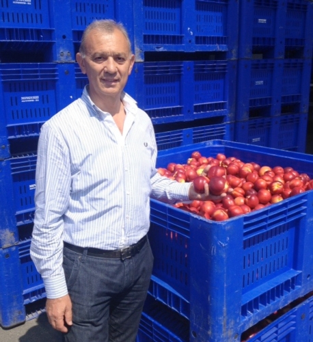 Giancarlo Minguzzi, presidente di Fruitimprese Emilia-Romagna e della Op Minguzzi Spa di Alfonsine (Ra)