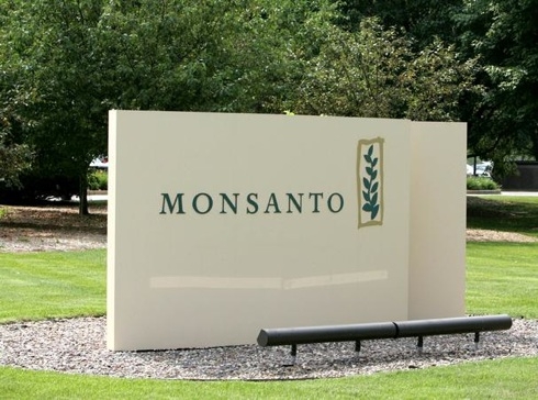 Niente più azioni di lobbying in Europa per Monsanto