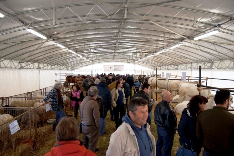 mostra-agricoltura-faenza-edizione-2015.jpg