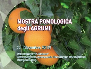 Alsia: mostra pomologica degli agrumi <br />Metaponto (Mt), 21 dicembre 2010
