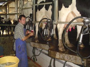 Le sfide della competitività per i giovani produttori di latte