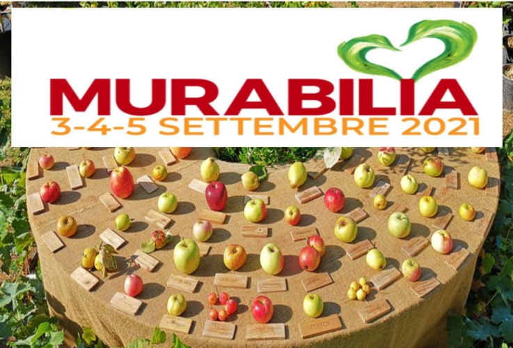 Mura di Lucca, parte la ventesima edizione di Murabilia