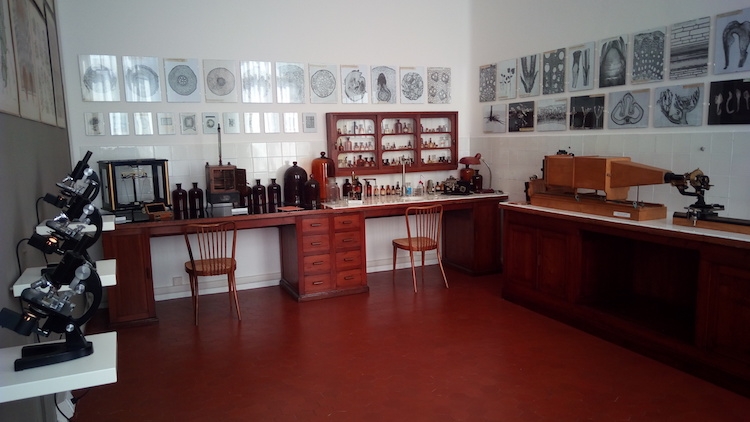 Il Museo Manzoni è situato al primo piano della Scuola enologica di Conegliano GB Cerletti