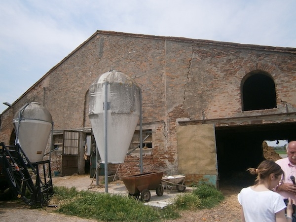 Quistello, l'Azienda agricola Negrelli 