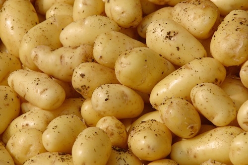 In Italia la patata viene coltivata su circa 60.000 ettari