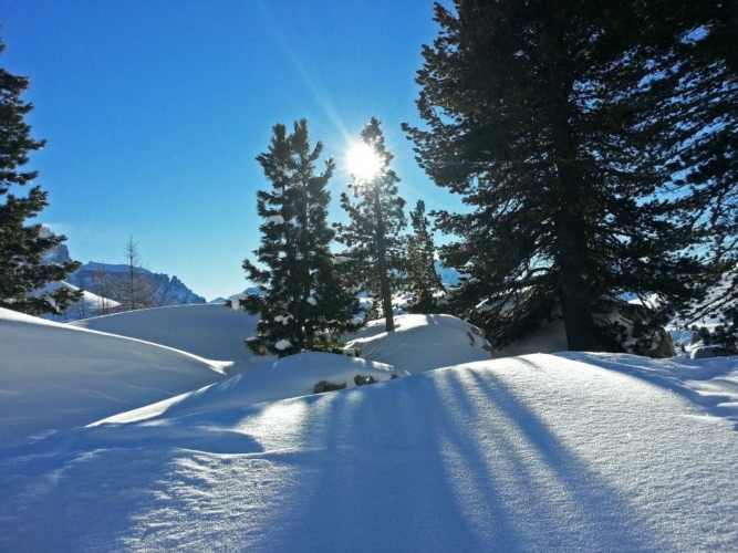 Nuove abbondanti nevicate sull'arco alpino