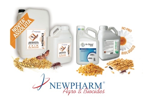 L'offerta Newpharm per la protezione dei cereali in magazzino