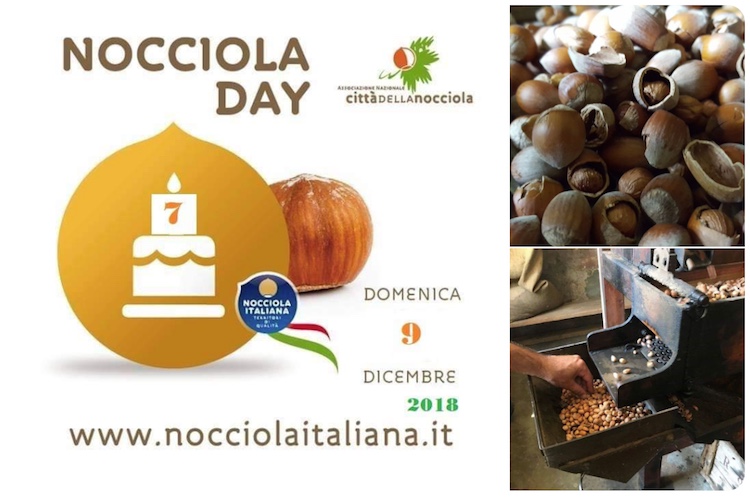 nocciola-day-italiana-9-12-2018-fico-eataly-world-byconsorziood.jpg